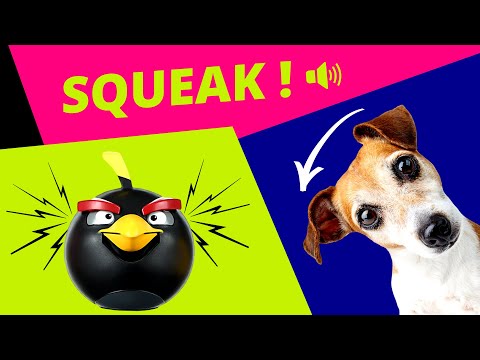 Squeaky Toy Dog Toy Sounds Dogs LOVE to Hear The Most 📣🐶❤️