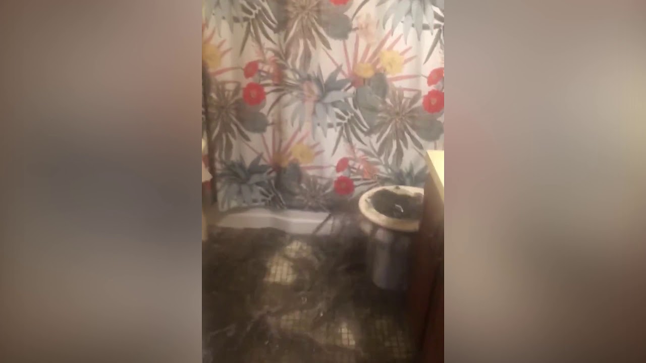 Toilets Explode With Sewage After Blockage in Sewer Line