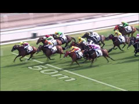 24/1/2021 (367) Sea Of Life - Vincent Ho