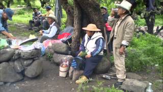 preview picture of video 'Apaxco Hacienda Vieja Reforestacion'