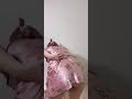 Bigo Live Channel 01 Periscope Live Bigo Daster