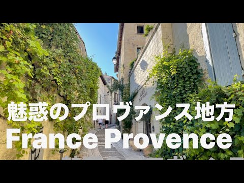 どのような植物の低木ですか フランスの美しい庭園 完全な太陽の植物のアイデア 組成の特徴