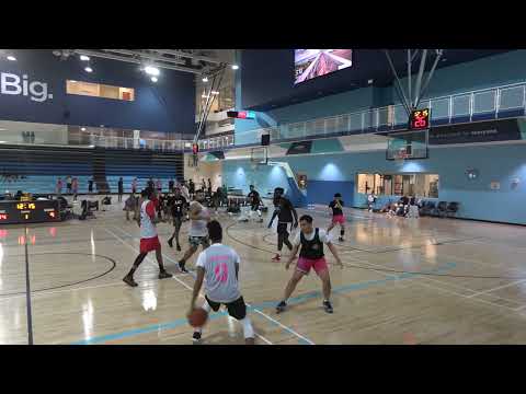 AAO vs La Dynasty - sunday tier 4 playoffs - tcbl 2022 spring