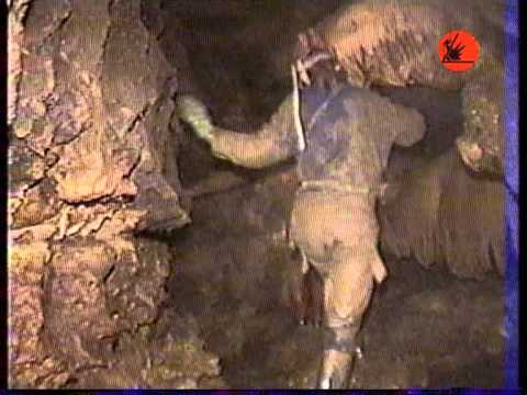 Spélèo Aveyron - La grotte de Foissac 1990-Grotte préhistorique-Foissac-riviére souterraine