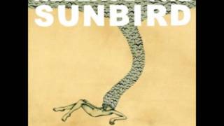 Release the Sunbird - Best Thing For Me