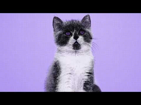 DJ Minx, Kevin Knapp - House Katz (Extended Mix)