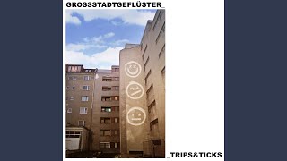 Anpassungsstörung Lyrics English Translation