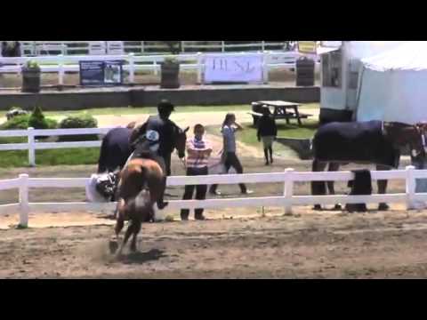 Lamberk (Lordanos x Raphael) in USA