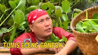 Download lagu TUMIS ECENG GONDOK | JEJAK SI GUNDUL (21/0/23) mp3 Download lagu TUMIS ECENG GONDOK | JEJAK SI GUNDUL (21/0/23) mp3
