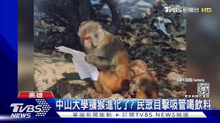 [問卦] 除了人以外有動物會用吸管嗎？