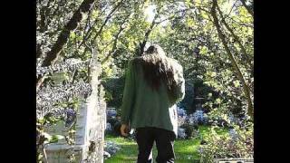 Endless Boogie - The Manly Vibe