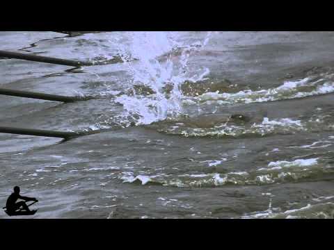 Rowing Champions League 2014 - pure action