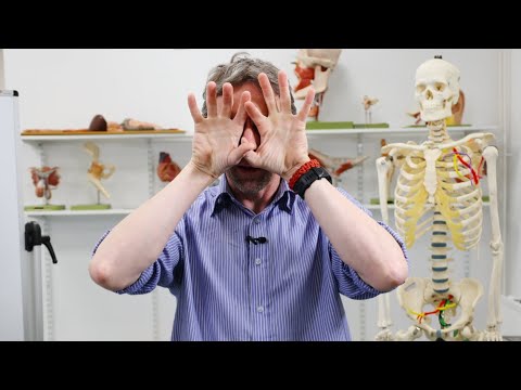 Visual pathways (and hemianopia or hemianopsia)