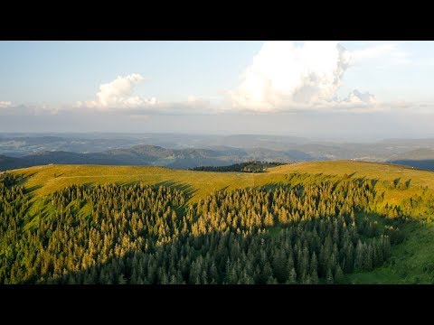 Flight over the Feldberg | Aerial (4K)