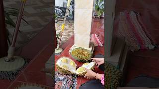 Download lagu BELAH DUREN #shorts mp3