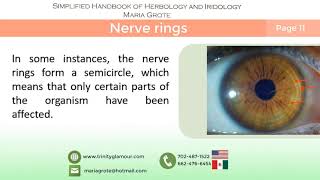 Nerve rings  | Simplified iridology by Maria Grote