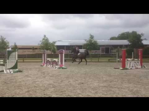 5 jähriger Sandro Boy Nachkomme, Trainingsvideo