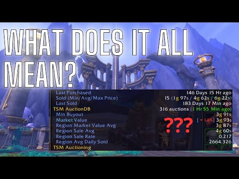 What on earth does the Tradeskillmaster Tooltip mean