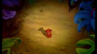 Hakuna Matata(Broadway Version)