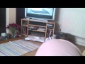 Black Pussy