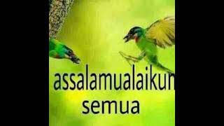 Download lagu Arti Assalamualaikum mp3