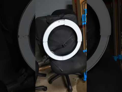 Today In The Dumpster #shorts