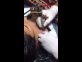 MUMBAI TATTOO PROFESSIONAL TATTOO N PIERCING STUDIO TATTOO PIERCING LASER TATTOO REMOVING Pro