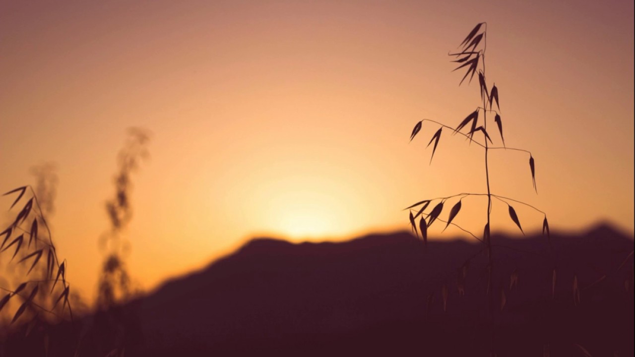 Bindu - Light At Heart