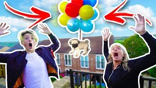 FLYING MY DOG WITH BALLOONS EXPERIMENT!! **FLEW AWAY**
