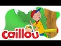 Caillou Caillou S Camel Ride S05E22 Videos For Kids