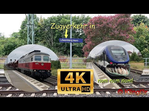 Zugverkehr in Löwenberg - kein Löwe, aber andere Tiere in Sicht! ]4K60]