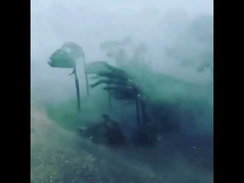 Hurricane Irma Naples Florida Marco Island Brickell Key West FLOODED Fort Myers Miami Floo