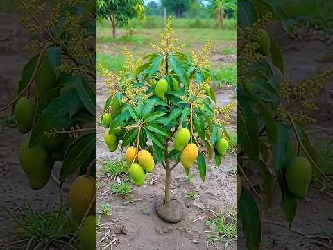 Mitti se banaya mango 🥭 trees 🌳||vishvi 04|| #trending #youtubeshorts #shorts