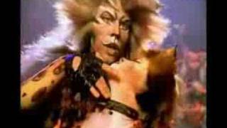 Cats The Musical DVD - The Rum Tum Tugger
