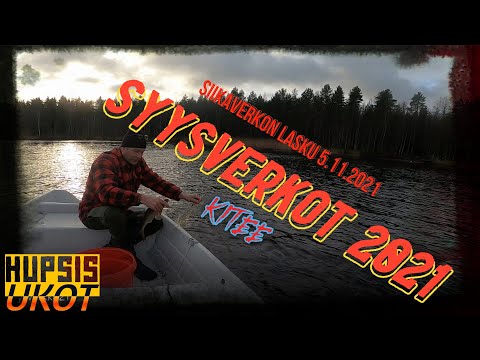 Syysverkko 2021. Siikaverkon lasku ja tuulastusta Kiteellä,