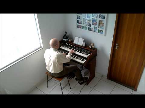 TX-5 CC 523 - Cordeirinhos