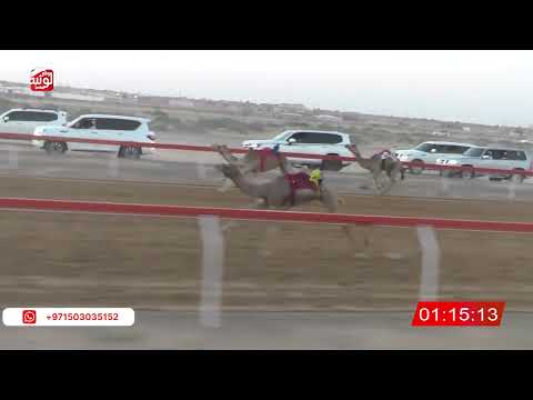  ش 2 (شاهين) لـ سيف بن مسفر العميمي 2:19 ، شارة صندوق حلفه 2026/05/10 فطامين الجبيب