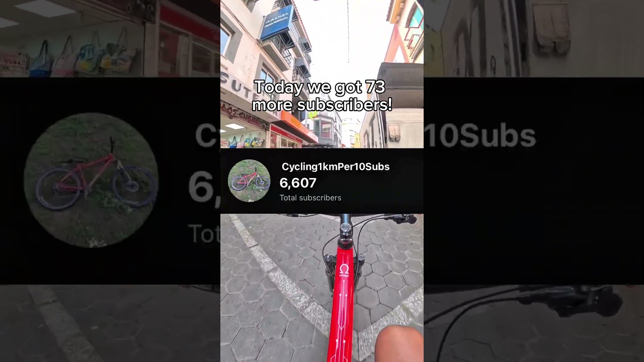 Day 256! #dailycycling #mtb