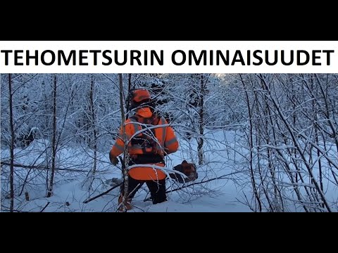 Metsolan Metsäkoulu 246 - Mikä erottaa tehometsurin vähemmän tehokkaasta?