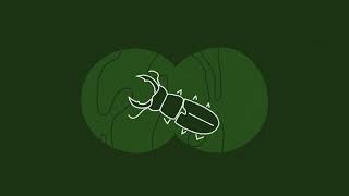 Bezzásahová území