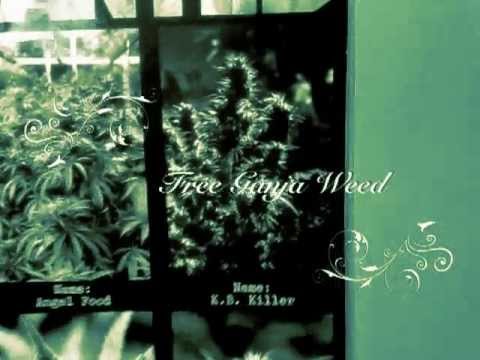 Lu Dottore - Verso Badem - Pat Nino...2011 free ganja weed
