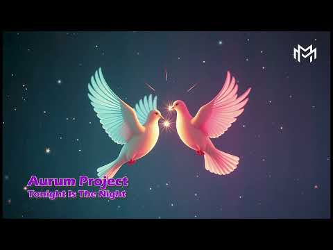 Aurum Project - Tonight Is The Night