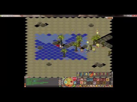 dofus pvp G9 djaul sadi capitaine-amaknna 155 vs sadi 177 Tsuneyko