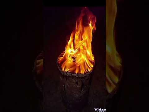 Ayié Momengo POUSSY MAKINDO