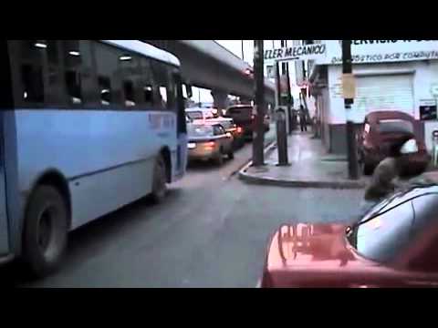 The Wild Street 2 (6/7)