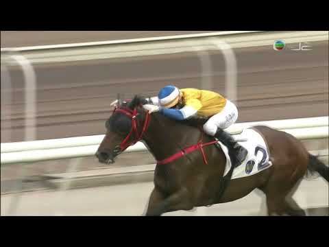 2021/22 (363) - Pins Prince (翩翩君子) - 莫雷拉