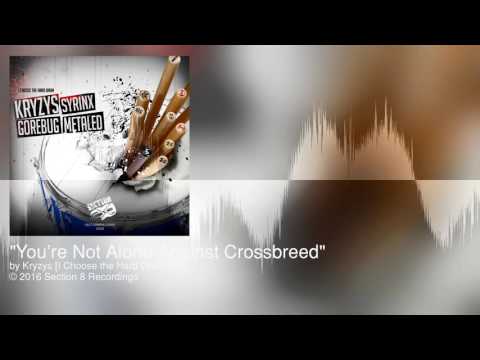 Kryzys - You're Not Alone Against Crossbreed [Section 8 - Drum & Bass]