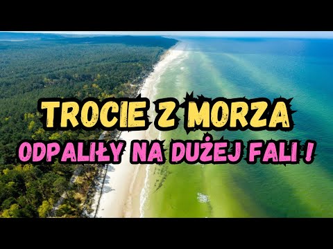 ŁOWIMY MORSKIE TROCIE Z BRZEGU W GRUDNIU. BAŁTYK PRZYWITAŁ NAS DUŻA FALĄ.