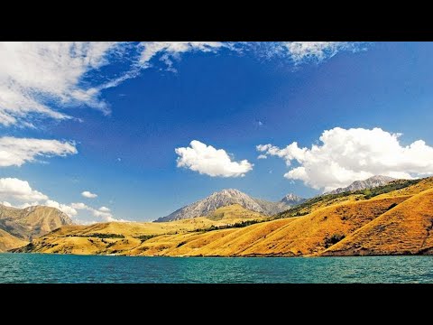 11. Ethical Dilemmas in Climate Robotics