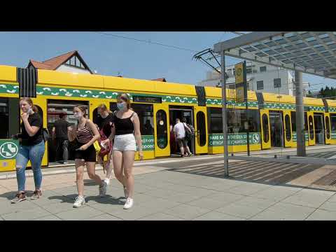 Schülerticket für ganz Sachsen